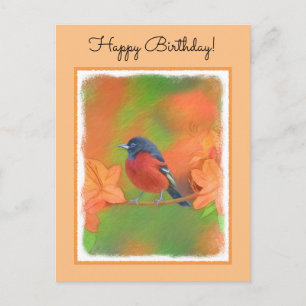 Orchard Oriole Songbird Painting Original Bird Art Vykort