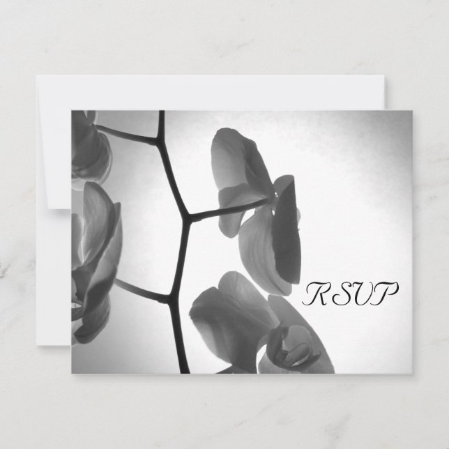 Orchds på Stem Bröllop OSA Responcard Kort (Framsida)