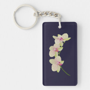 Orchid