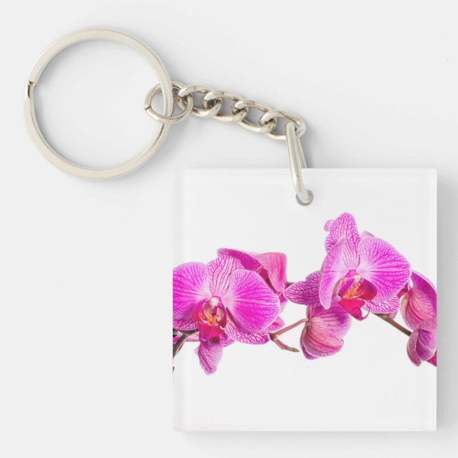 Orchid (Framsidan)