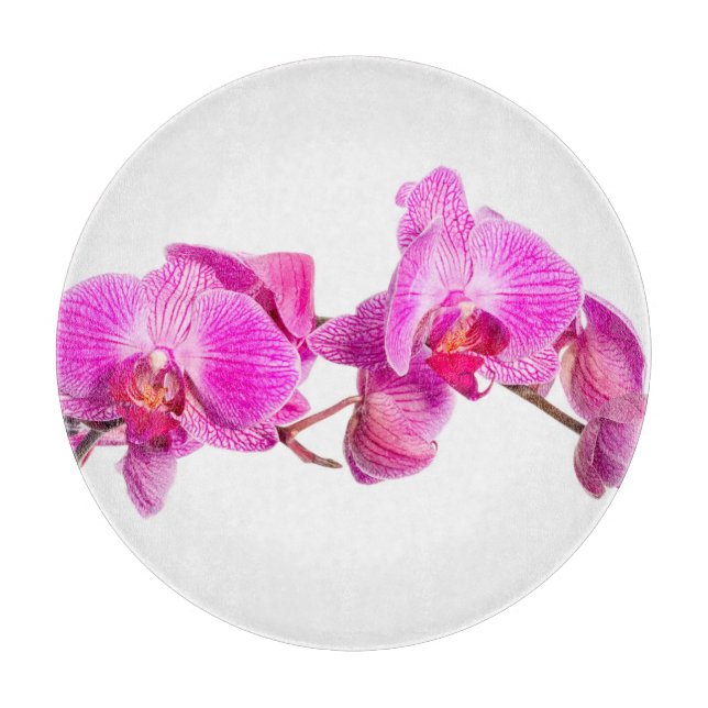 Orchid (Framsidan)