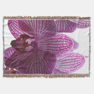 Orchid20160301 Filt