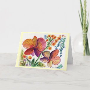 Orchid31 Kort