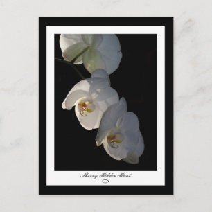 Orchid 002 vykort