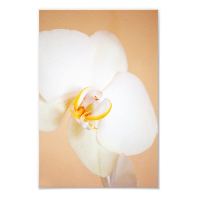 Orchid 8930 fototryck (Framsidan)