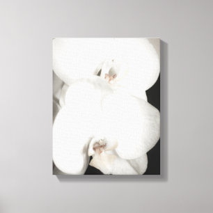 Orchid 8931 canvastryck