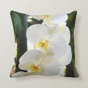 ORCHID #9 KUDDE