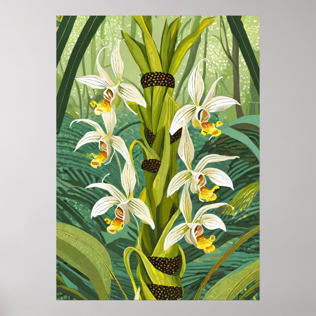 Orchid Art V24 Poster (Framsidan)