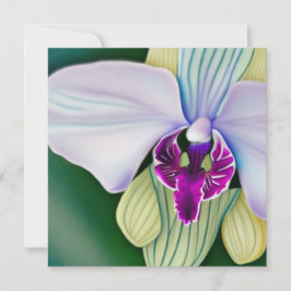 Orchid Beauty Julkort