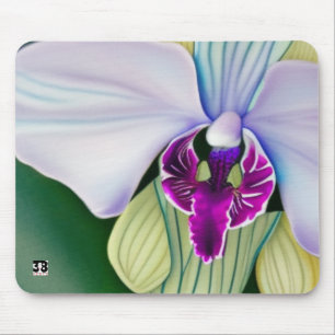 Orchid Beauty Musmatta