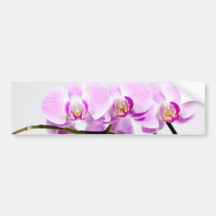 orchid bildekal