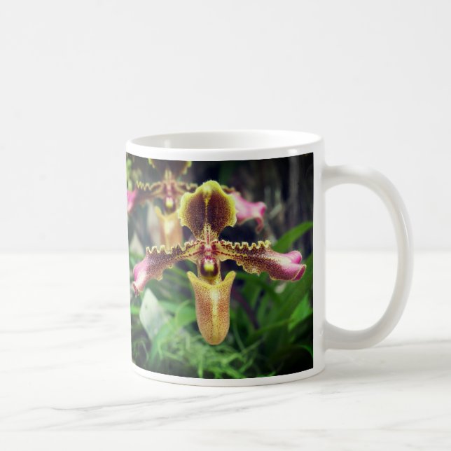 Orchid-blomma Kaffemugg (Höger)