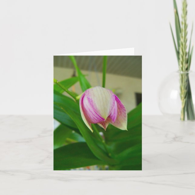 Orchid-blomman öppnas på ett tomt anteckningskort (Framsida)