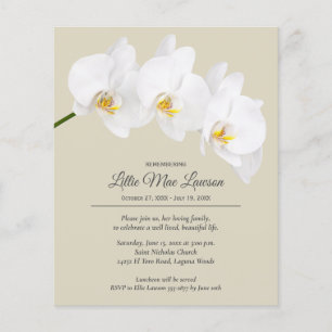 Orchid Blommigt Memory Firande Flygblad