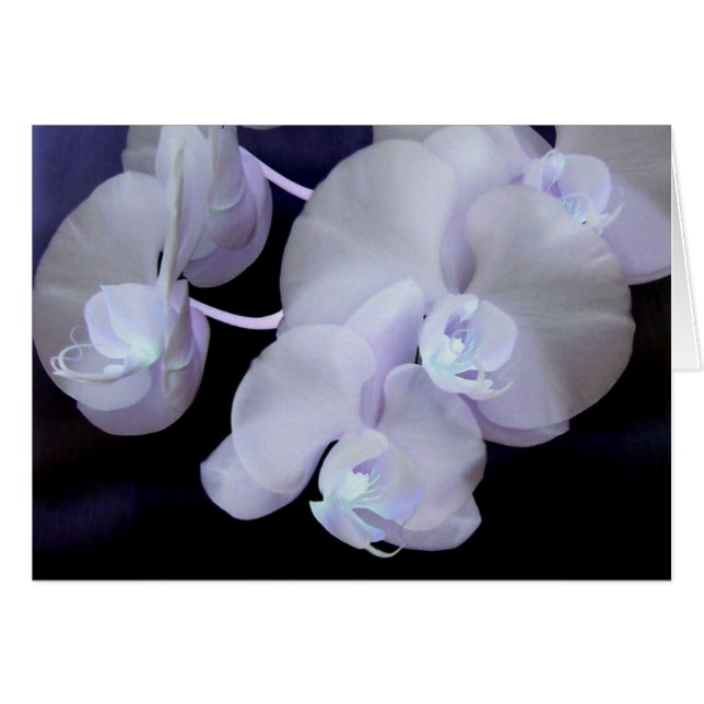 orchid-blommor hälsningskort (Framsidan Horizontal)
