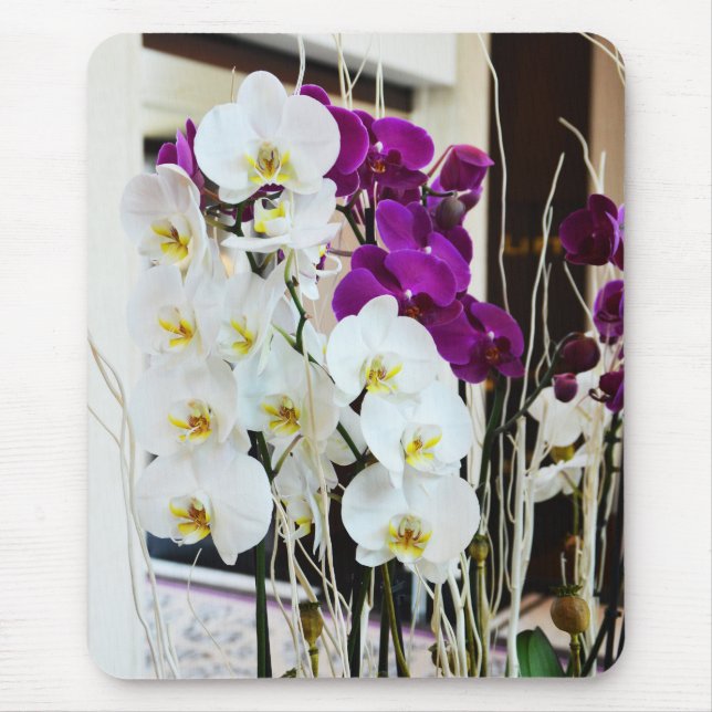 Orchid Blommor Musmatta (Framsidan)