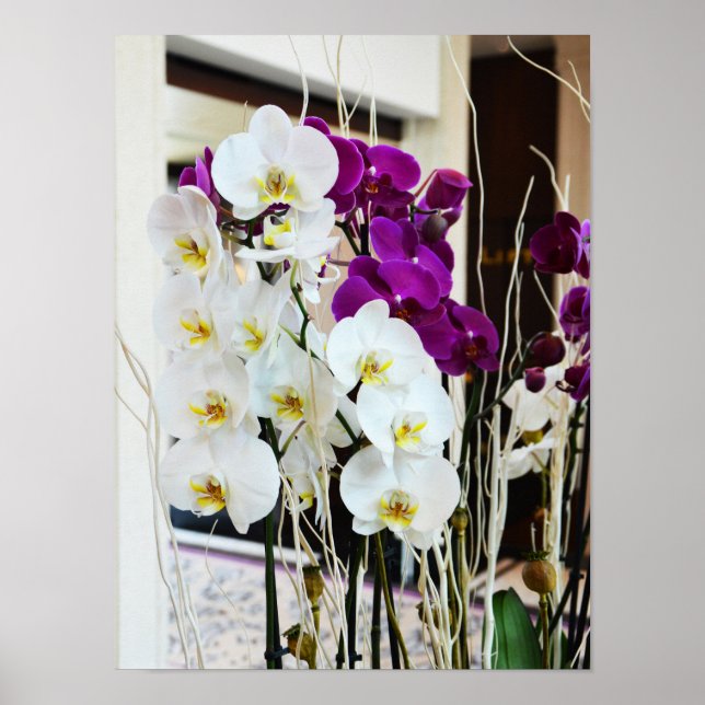 Orchid Blommor Poster (Framsidan)