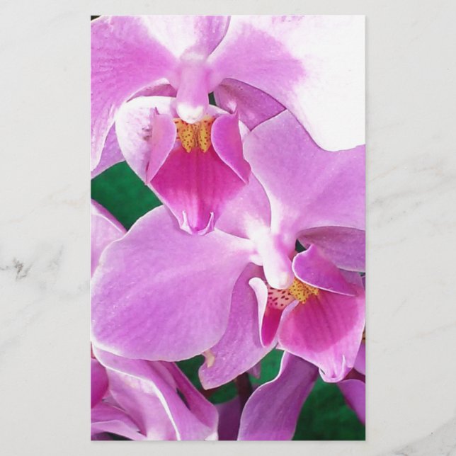 Orchid-blomning i rosa brevpapper (Framsida)