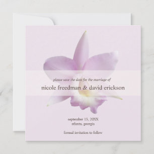 Orchid bloom violett modern bröllop spara datum datumet