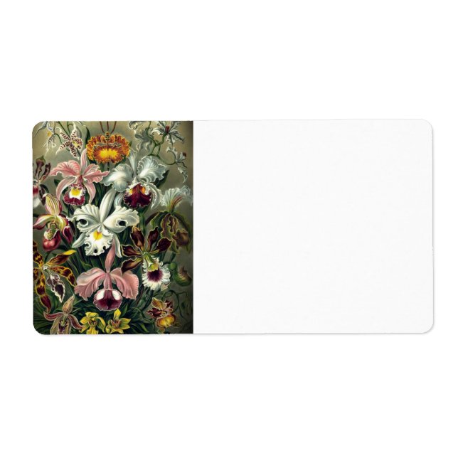 Orchid Botanical Print Fraktsedel (Framsidan)