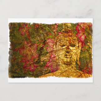 Orchid Buddha Vykort