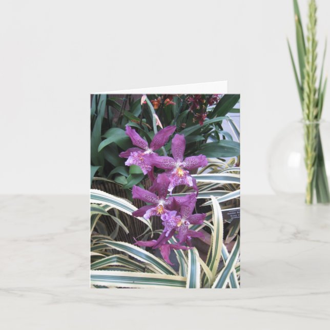 Orchid Cluster Note-kort Kort (Framsida)