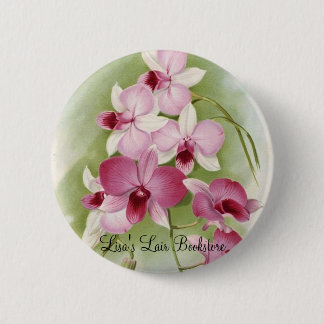 Orchid - DendrobiumPhalaenopsis Knapp