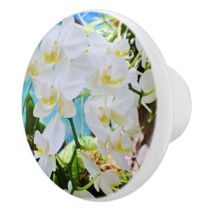 Orchid Drawer-knapp Knopp