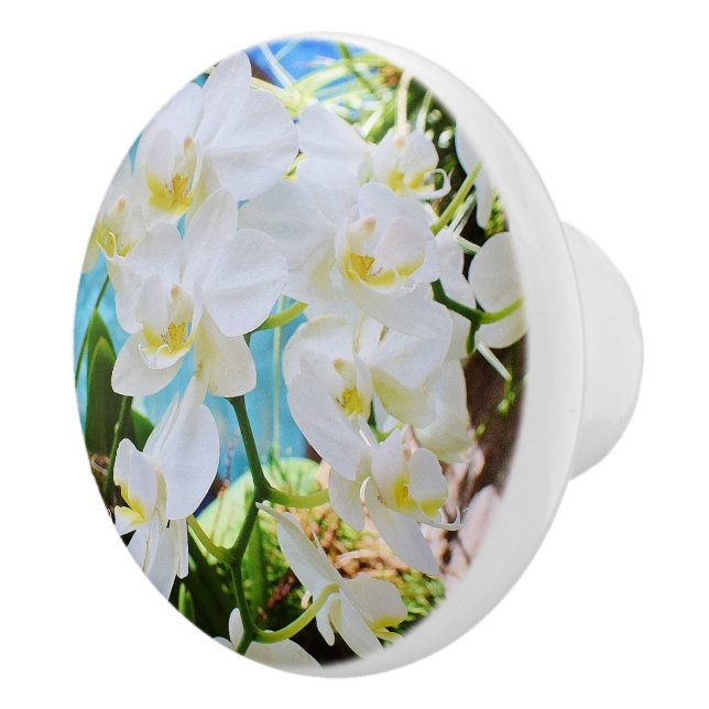 Orchid Drawer-knapp Knopp (Höger)