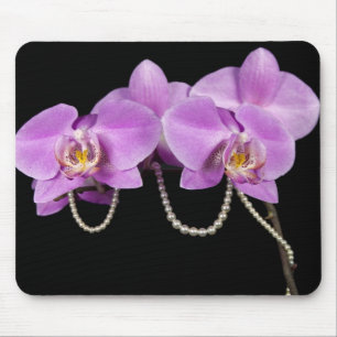 Orchid Elegance Musmatta