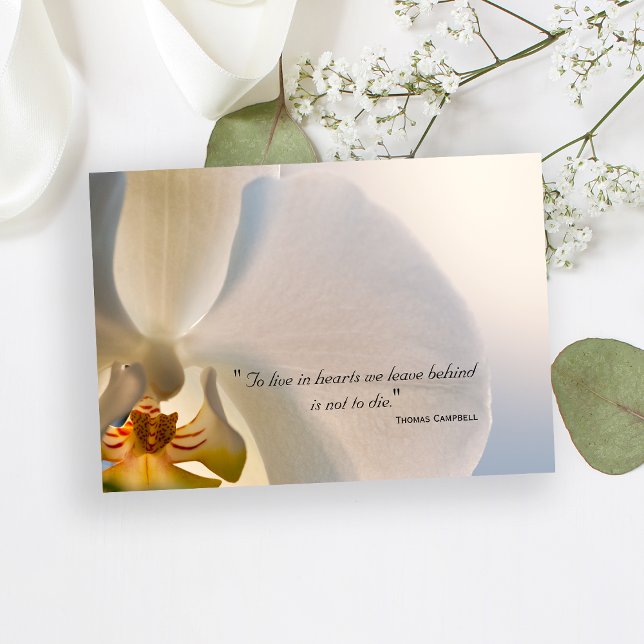 Orchid Elegance Tack for Your Sympathy Note Inbjudningar (Skapare uppladdad)