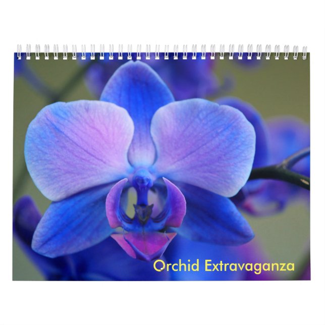 Orchid Extravaganza Kalender (Omslag)