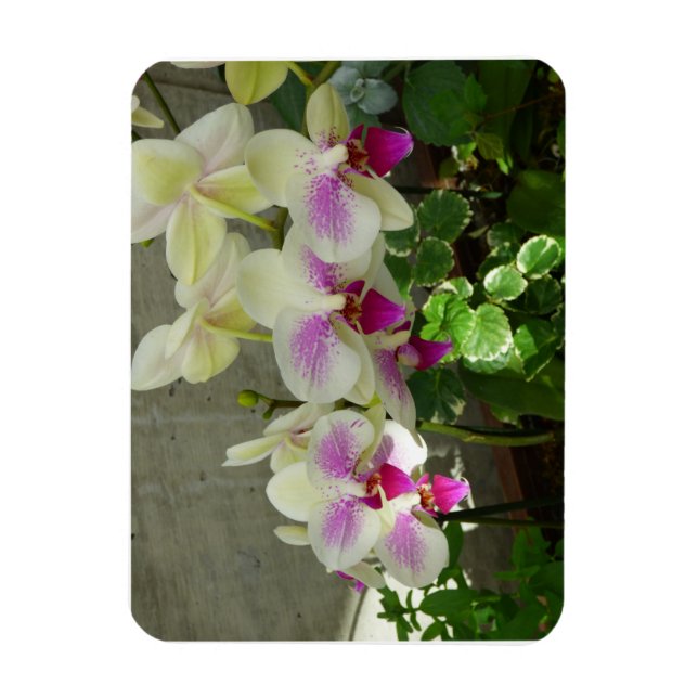 Orchid Flexible Photo Magnet (Vertikal)