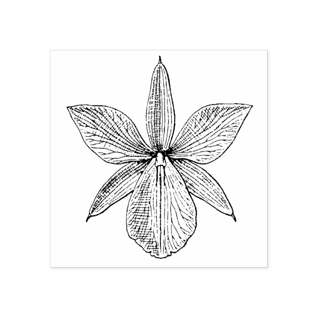 Orchid Flower Blommar Tropical Hawaii Botanical Stämpel (Tryck)