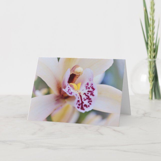 Orchid Flower Close Up Art Note-kort Kort (Framsida)