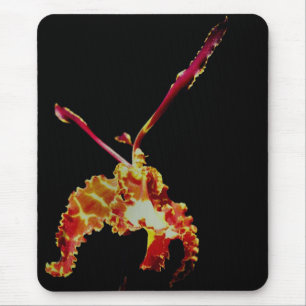 Orchid Flower, finare Orange Musmatta
