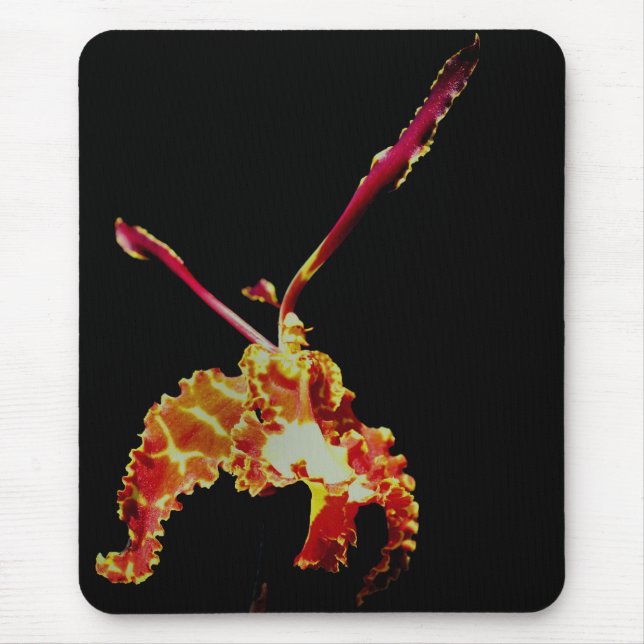 Orchid Flower, finare Orange Musmatta (Framsidan)