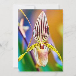 Orchid Flower Kort
