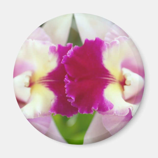 Orchid Flower Magnet (Framsidan)
