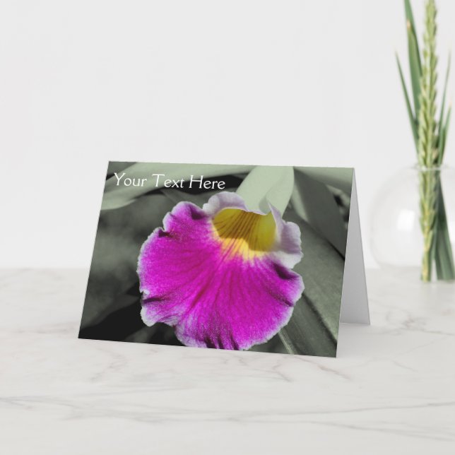 Orchid Flower Partial Färg Photo Card Kort (Framsida)