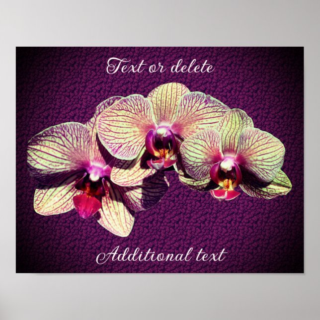 Orchid Flower Trio Lägg till din egen text Poster (Framsidan)