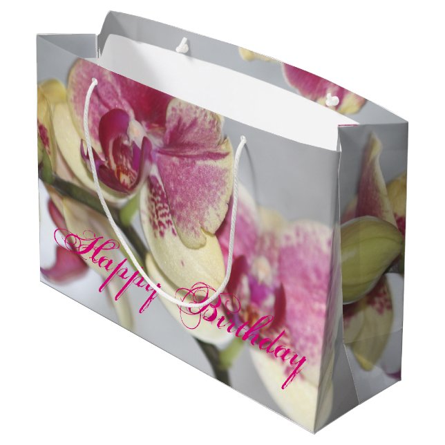Orchid Flowers (Baksidan Vinklad)