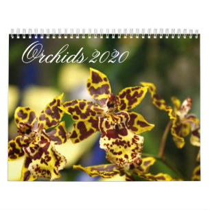 Orchid Flowers 2020 Kalender