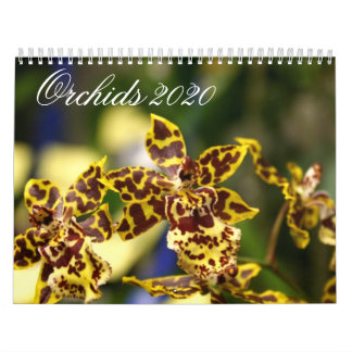 Orchid Flowers 2020 Kalender