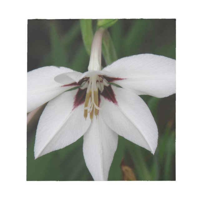 Orchid Flowers Anteckningsblock (Framsida)