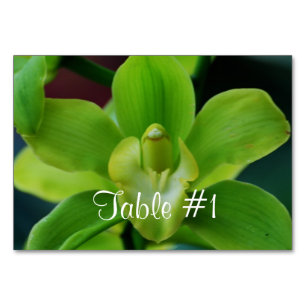 Orchid Flowers Bordsnummer