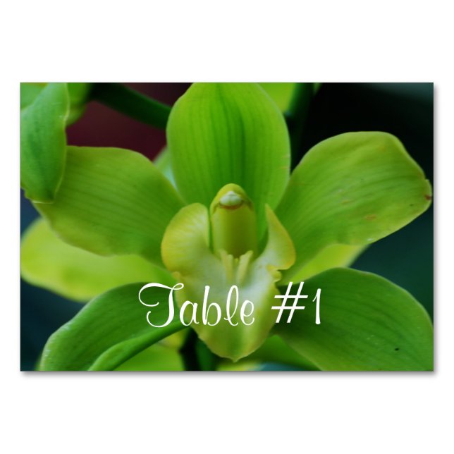 Orchid Flowers Bordsnummer (Framsidan)