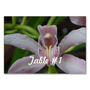 Orchid Flowers Bordsnummer