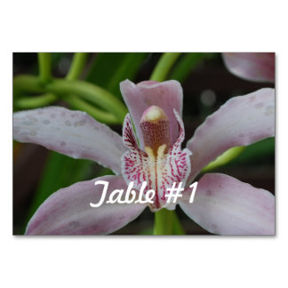 Orchid Flowers Bordsnummer