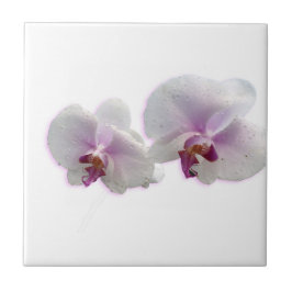 Orchid Flowers Ceramic Tile Kakelplatta
